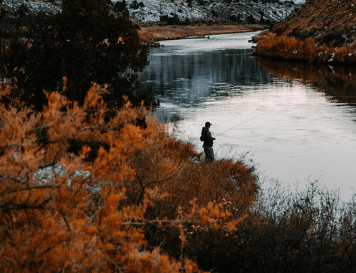 Missoula Landscape 5