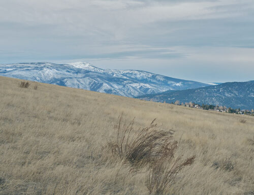 Missoula Landscape 9