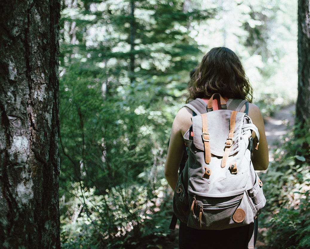 Backpacking trail in Missoula