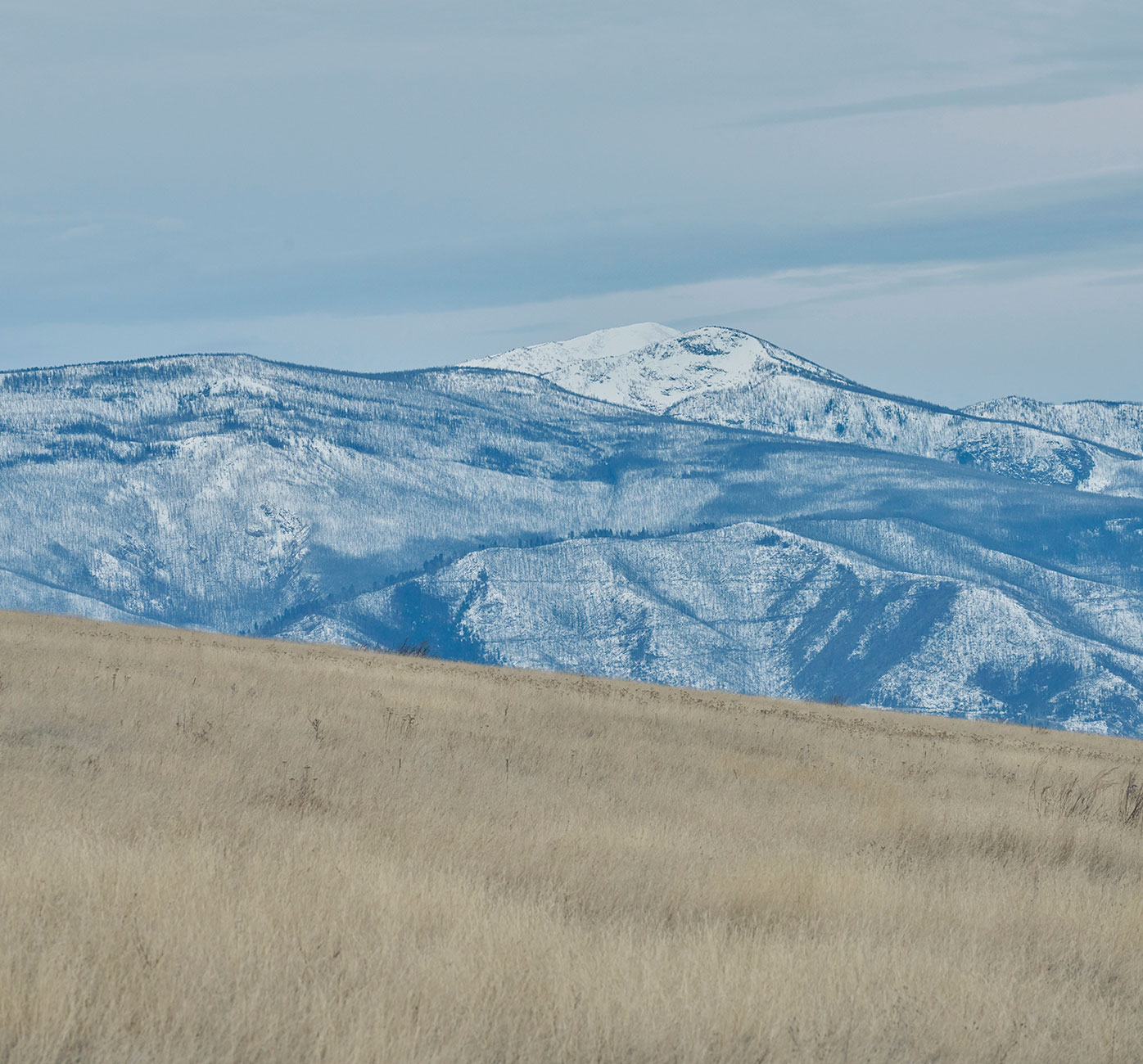 Mountain vista